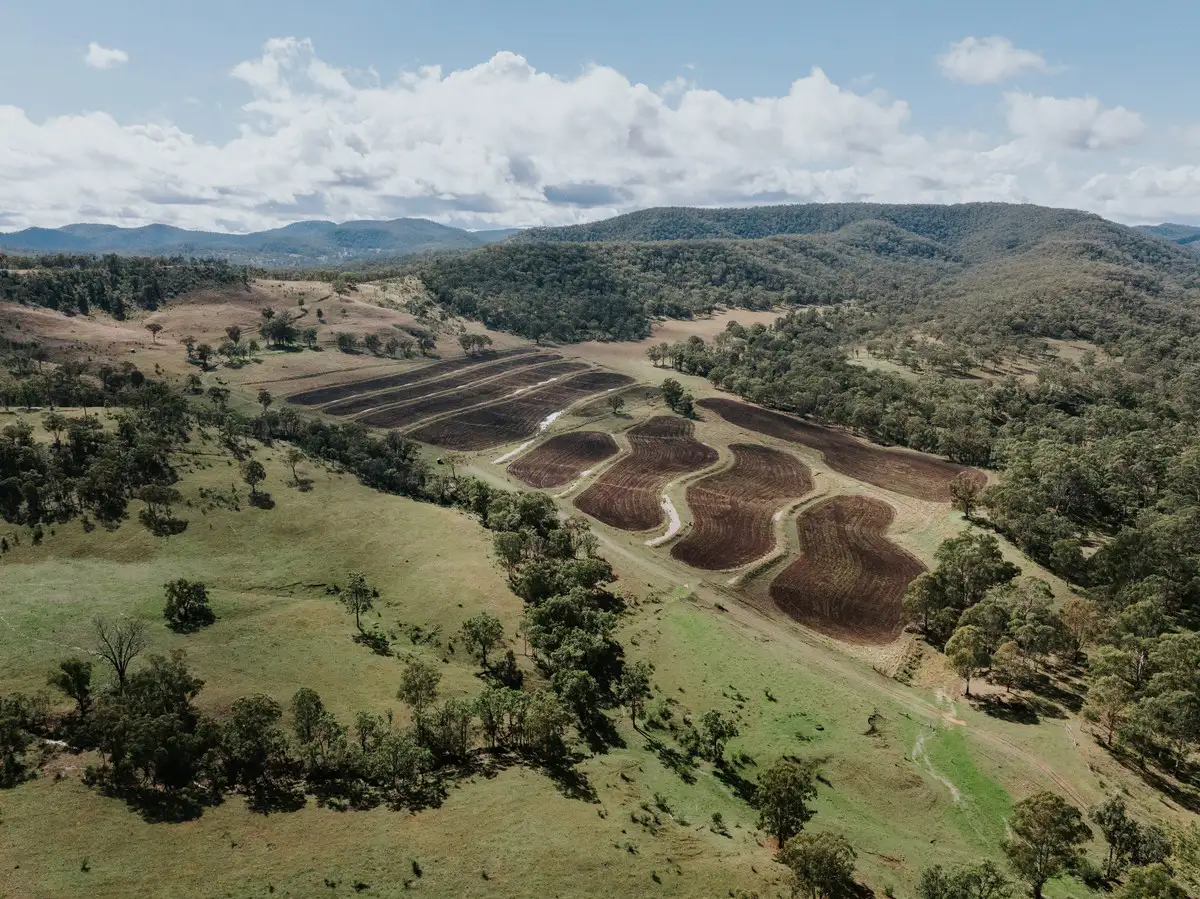 Main view of Homely rural property listing, 1006 North Branch Road, Goomburra QLD 4362