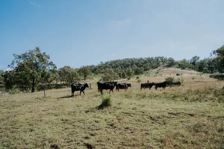 Seventh view of Homely rural property listing, 1006 North Branch Road, Goomburra QLD 4362