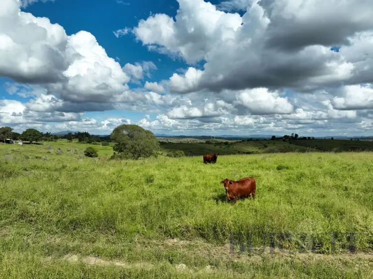 Main view of Homely rural property listing, 31791 Bruce Highway, Booyal QLD 4671