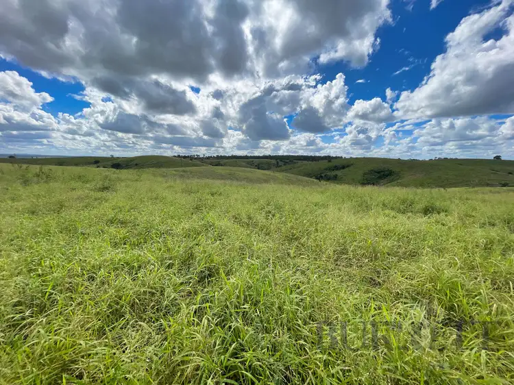 Fourth view of Homely rural property listing, 31791 Bruce Highway, Booyal QLD 4671