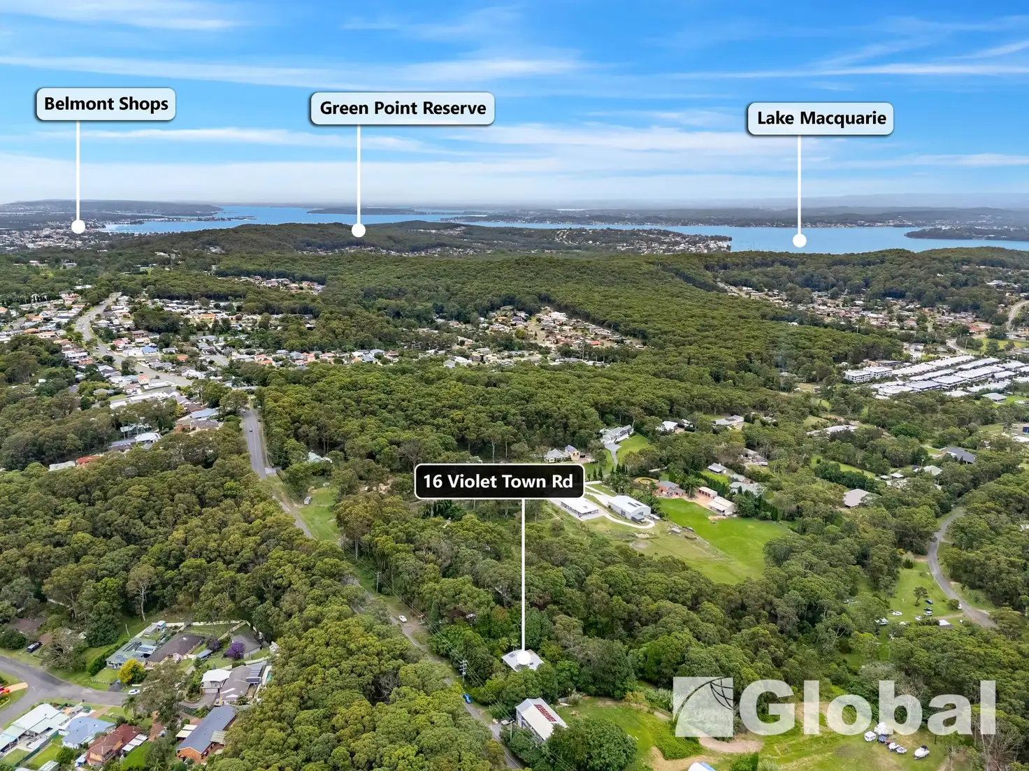 Main view of Homely house listing, 16 Violet Town Road, Mount Hutton NSW 2290