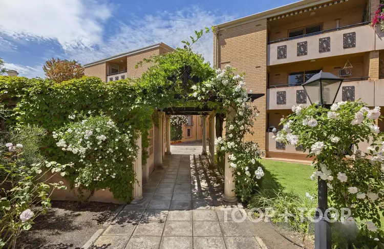 Third view of Homely villa listing, 14/27 Trevelyan Street, Wayville SA 5034