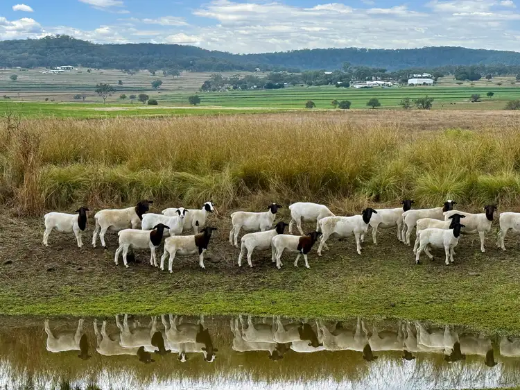 Third view of Homely rural property listing, 735 Hendon Mount Marshall Road, Mount Marshall QLD 4362