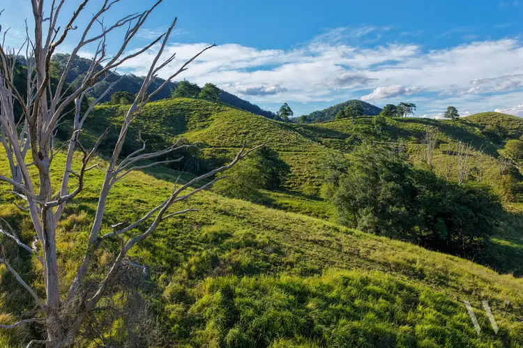 Fourth view of Homely land listing, 29 Musavale Road, Eerwah Vale QLD 4562