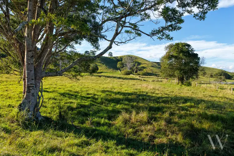 Fifth view of Homely land listing, 29 Musavale Road, Eerwah Vale QLD 4562