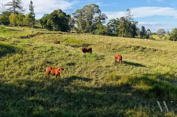 Sixth view of Homely land listing, 29 Musavale Road, Eerwah Vale QLD 4562