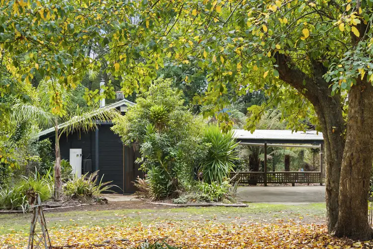Third view of Homely rural property listing, 2630 Colac - Forrest Road, Forrest VIC 3236