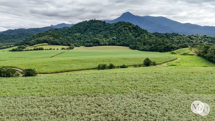 Main view of Homely land listing, Lot 3 Bruce Highway, Mirriwinni QLD 4871