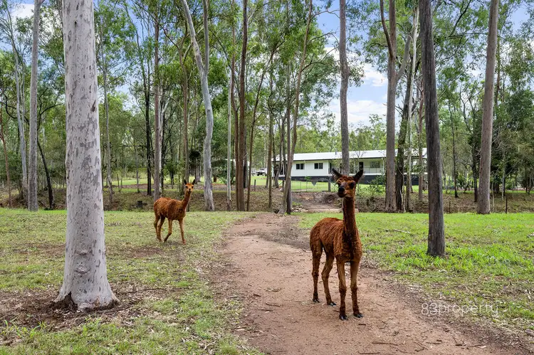 Sixth view of Homely house listing, 37B Salt Springs Road, Glen Cairn QLD 4342