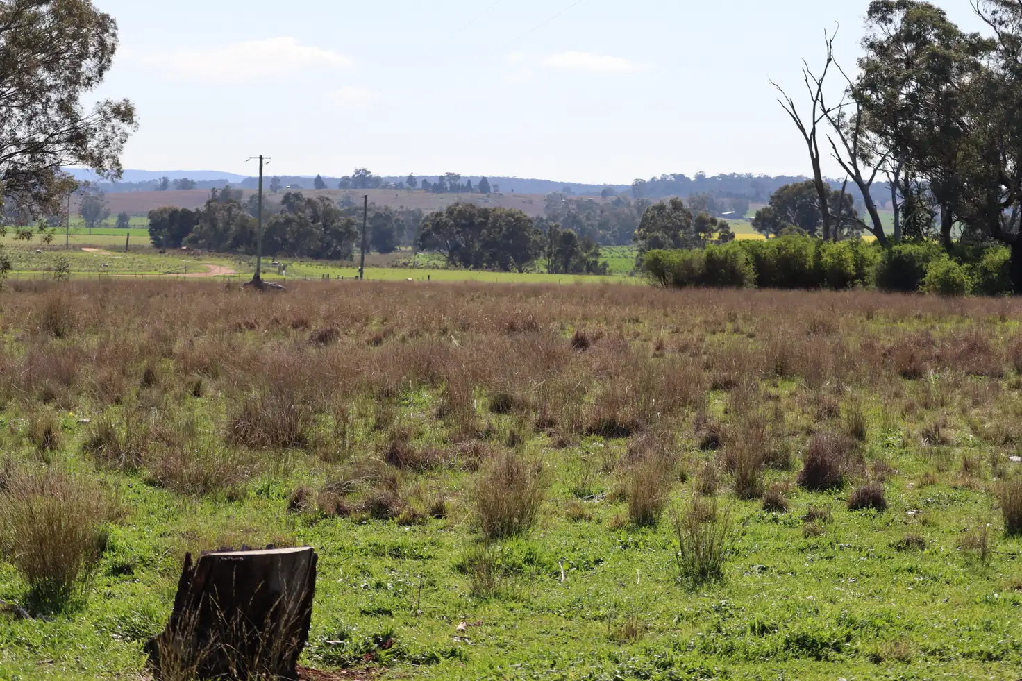 Main view of Homely land listing, 37 Birriwa Street, Dunedoo NSW 2844