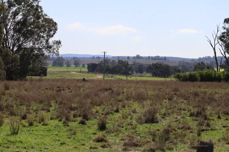Third view of Homely land listing, 37 Birriwa Street, Dunedoo NSW 2844