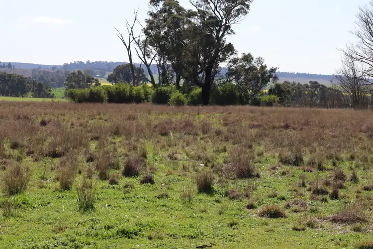 Fourth view of Homely land listing, 37 Birriwa Street, Dunedoo NSW 2844