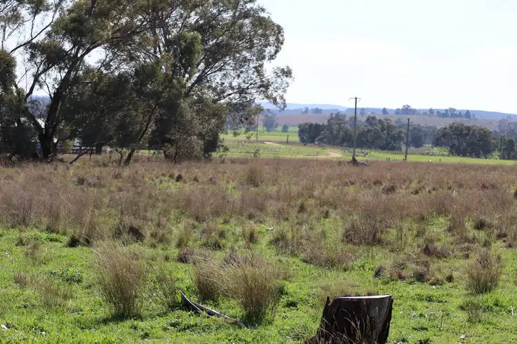 Fifth view of Homely land listing, 37 Birriwa Street, Dunedoo NSW 2844