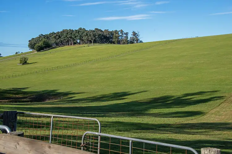 Fifth view of Homely land listing, 162 Baines Road, Mossiface VIC 3885