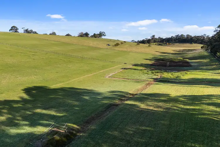 Seventh view of Homely rural property listing, 162 Baines Road, Mossiface VIC 3885