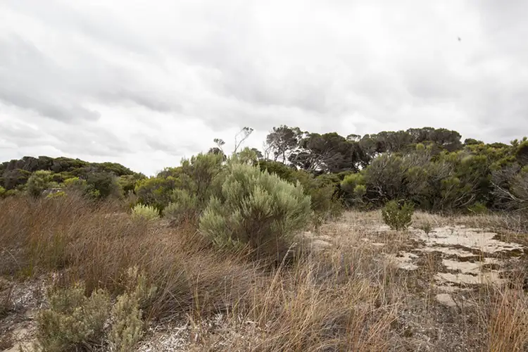Sixth view of Homely land listing, LOT Section 101 Nugent Road, Foul Bay SA 5577