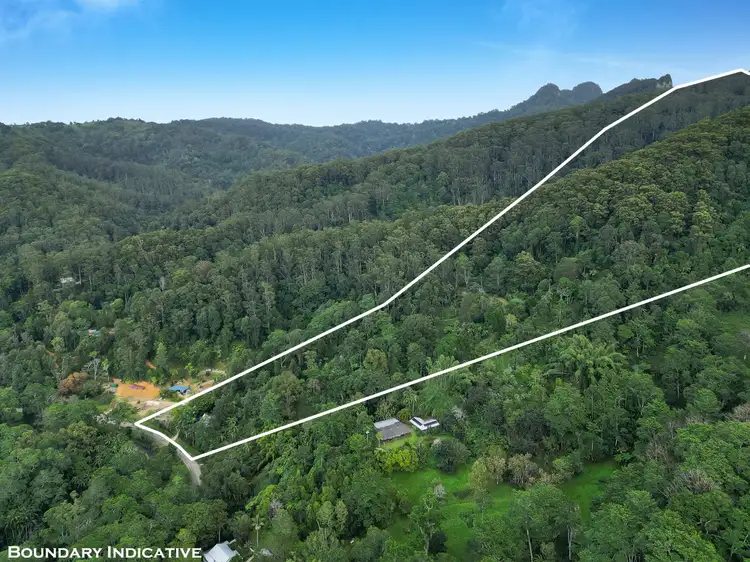 Second view of Homely rural property listing, 1778 Currumbin Creek Road, Currumbin Valley QLD 4223
