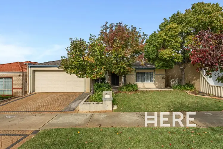 43 Griffin Crescent, Manning WA 6152