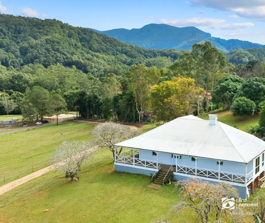 Main view of Homely rural property listing, 584 Nobbys Creek Road, Nobbys Creek NSW 2484