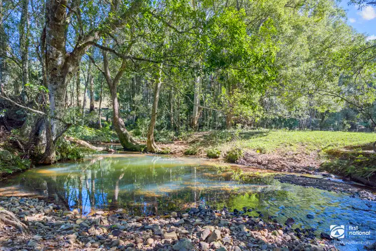 Sixth view of Homely rural property listing, 584 Nobbys Creek Road, Nobbys Creek NSW 2484