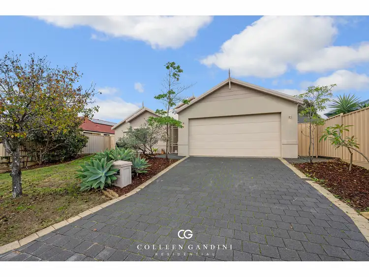 Second view of Homely house listing, 12 Wombat Way, Beeliar WA 6164