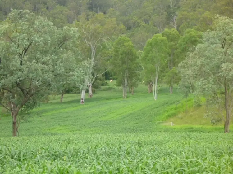 2501 Rocky River Road, Rocky River NSW 2372