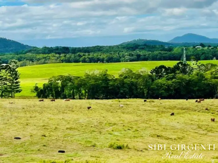 1297 Mt Molloy Street, Mossman QLD 4873