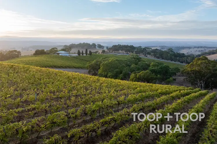56 Chalk Hill Road, Clarendon SA 5157