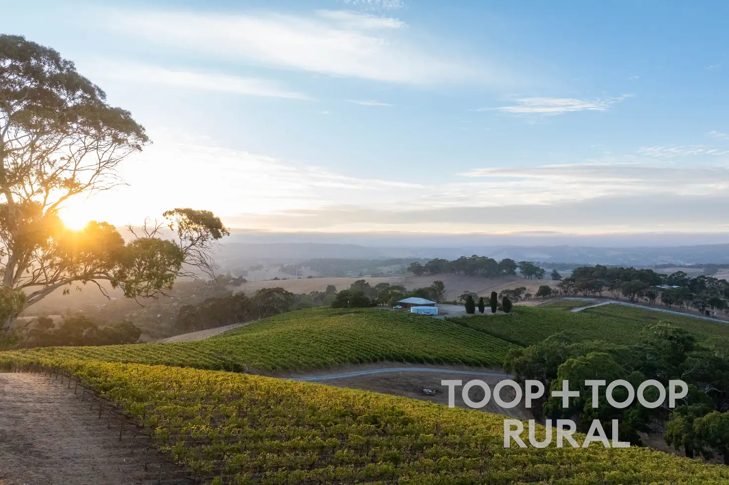 Main view of Homely rural property listing, 56 Chalk Hill Road, Clarendon SA 5157