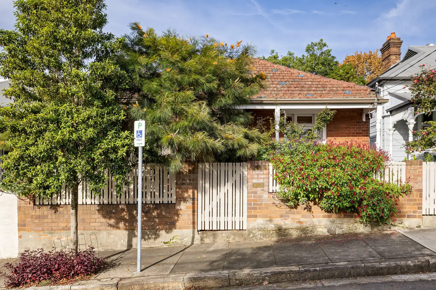 Main view of Homely house listing, 8 Quarry Street, Tempe NSW 2044
