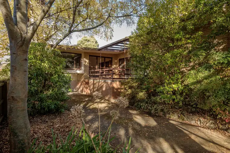 203 Shire Avenue, Mount Helen VIC 3350