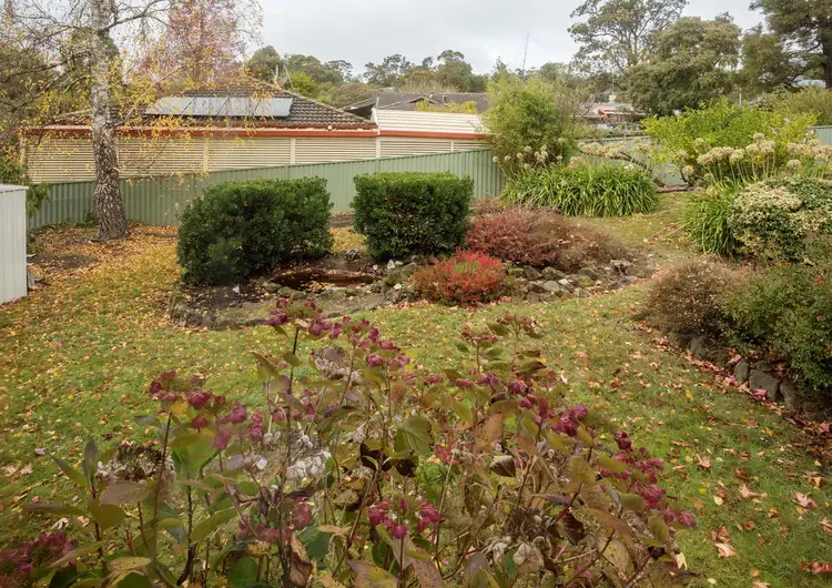 Fourth view of Homely house listing, 203 Shire Avenue, Mount Helen VIC 3350