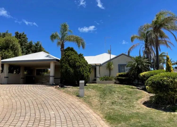 Main view of Homely house listing, 12 Amulla Court, Halls Head WA 6210