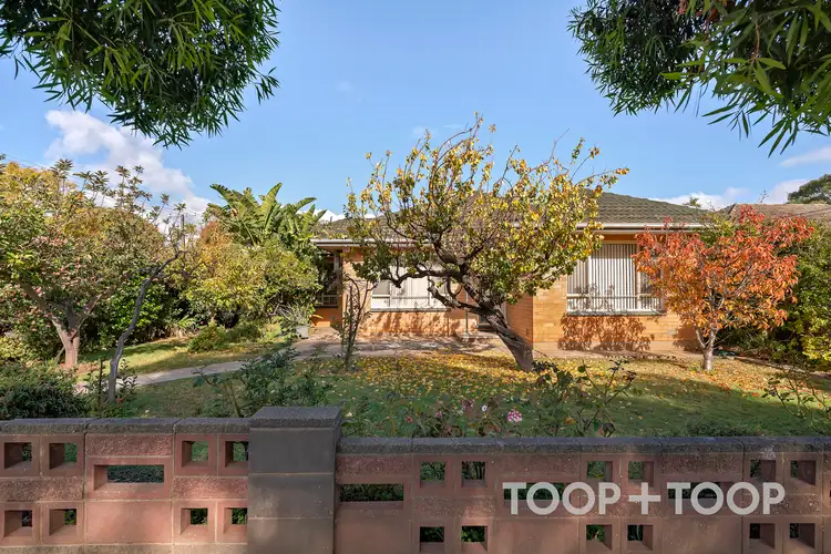 54 First Avenue, Payneham South SA 5070