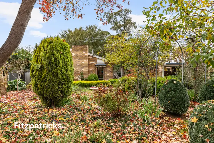 Main view of Homely house listing, 17 Merinda Crescent, Kooringal NSW 2650