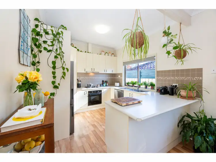 Third view of Homely house listing, 125 Phillips Street, Wodonga VIC 3690