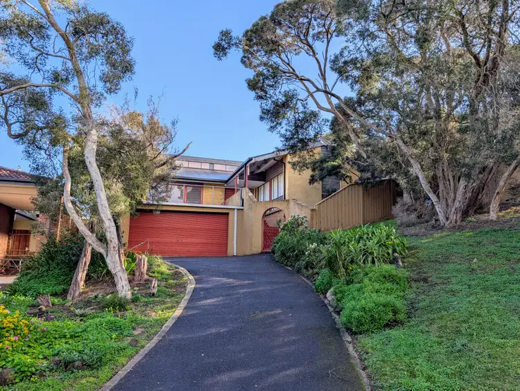 Main view of Homely house listing, 16 Cain Road, Rye VIC 3941