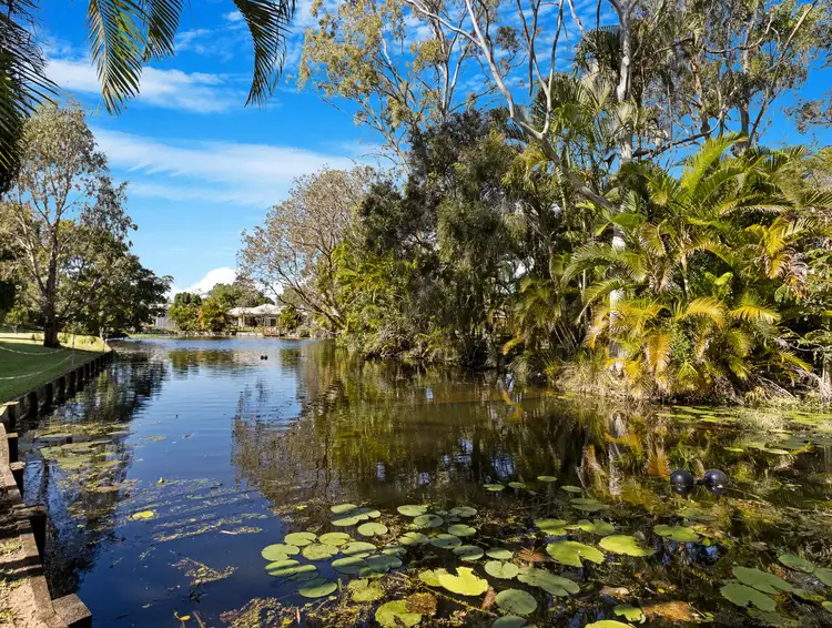 Fifth view of Homely house listing, 31 Vine Forest Drive, Dundowran Beach QLD 4655
