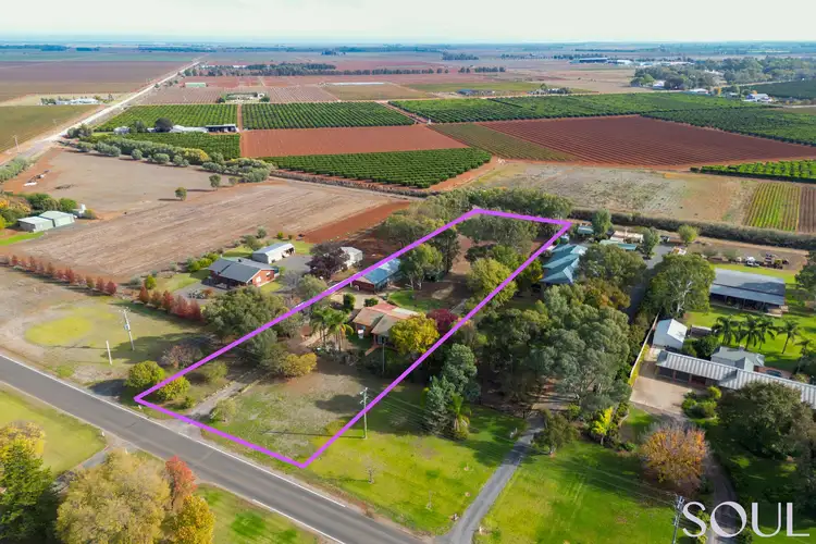 172 Walla Avenue, Griffith NSW 2680