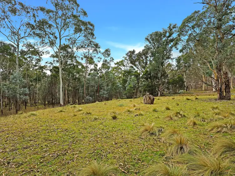 Fourth view of Homely rural property listing, 199 Tarlo River Road, Greenwich Park NSW 2580
