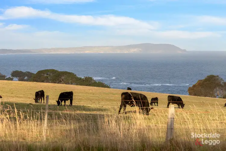Third view of Homely rural property listing, 225 Gap Road, Ventnor VIC 3922