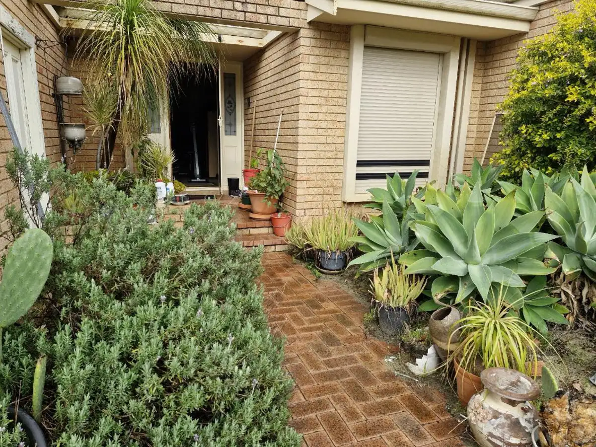 Main view of Homely house listing, 84 Barbera Lane, The Vines WA 6069