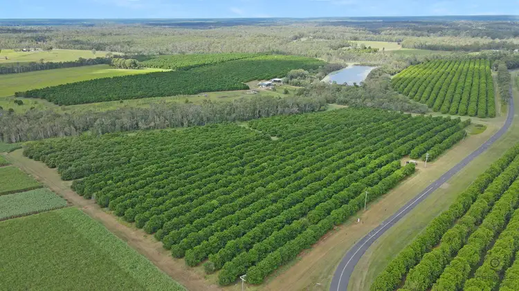 Reads Road, Avondale QLD 4670