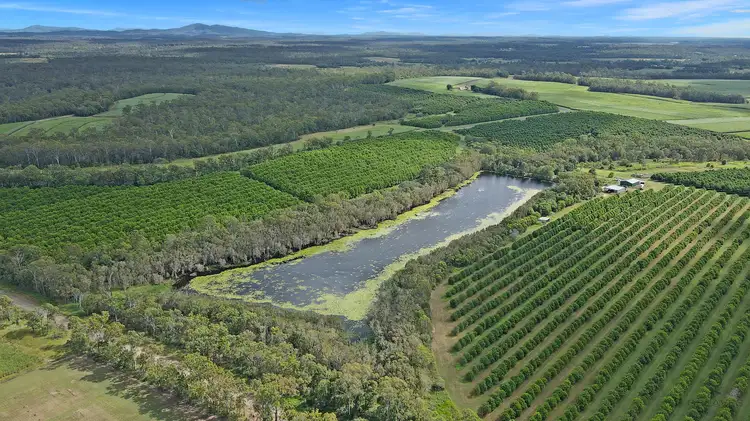Third view of Homely rural property listing, Reads Road, Avondale QLD 4670