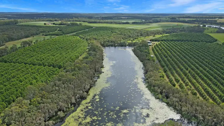 Fourth view of Homely rural property listing, Reads Road, Avondale QLD 4670