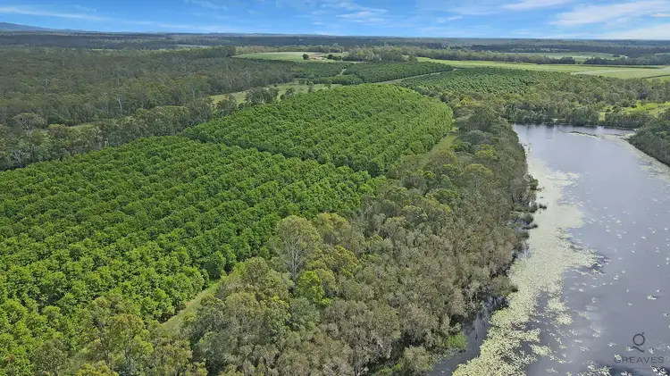 Fifth view of Homely rural property listing, Reads Road, Avondale QLD 4670