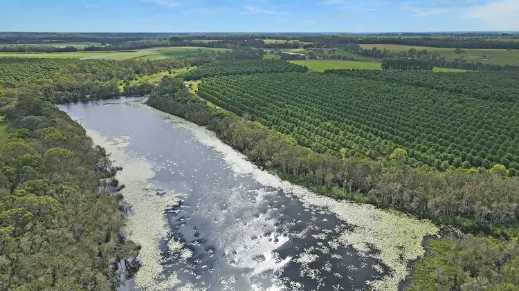 Sixth view of Homely rural property listing, Reads Road, Avondale QLD 4670