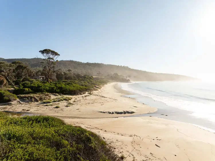 11766 Tasman Highway, Little Swanport TAS 7190
