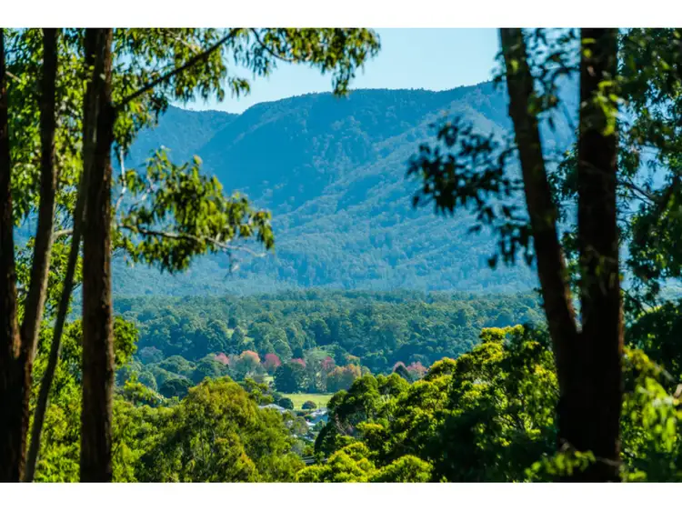 456, LOT 456 nobles Lane, Bellingen NSW 2454