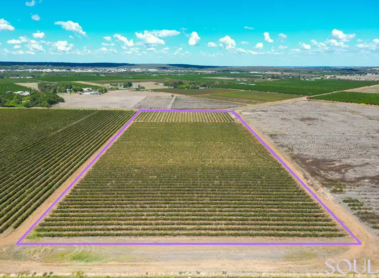 Second view of Homely land listing, LOT 183, 296 McCarthy Road, Lake Wyangan NSW 2680